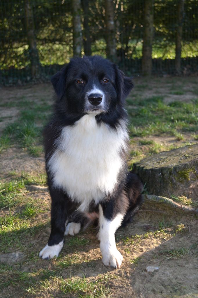 O'connor (ottawa) of Blue Grass Ranch