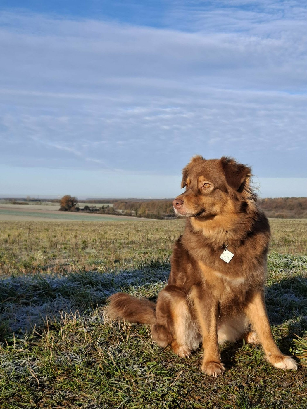 Toundra dite twix De La Vie Sans Soucis