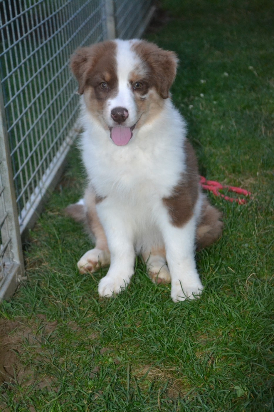 Aloe De La Vie Sans Soucis