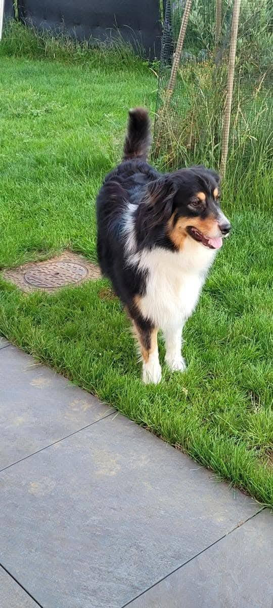 Regina De La Vie Sans Soucis